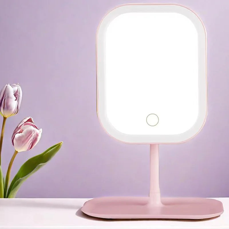 rechargeable mirror with holding plate