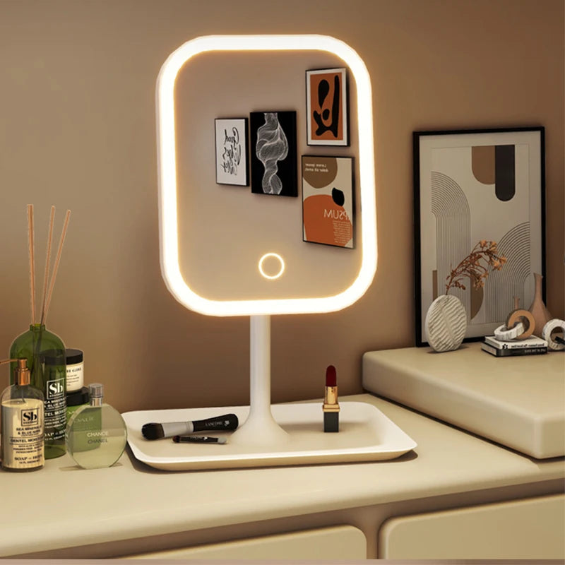 rechargeable mirror with holding plate