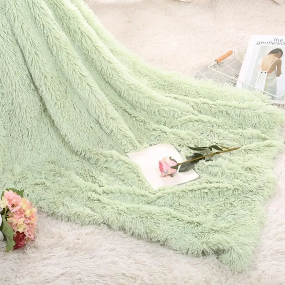 shaggy fluffy blanket