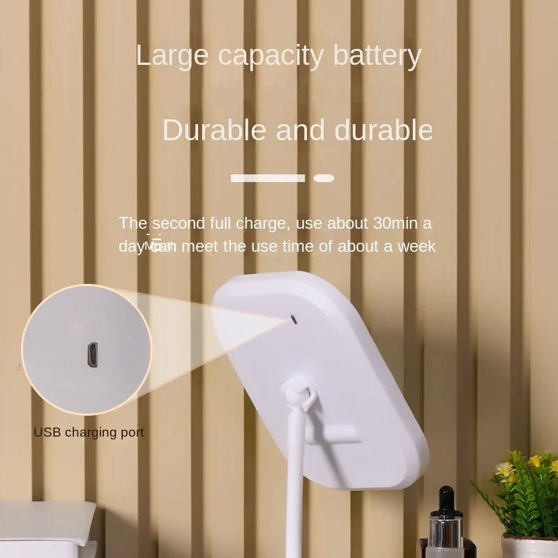 rechargeable mirror with holding plate